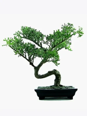 Bonsai Decorativo em Estilo Natural Esculpido