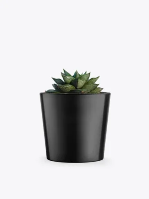 Suculenta Decorativa em Vaso Preto Minimalista