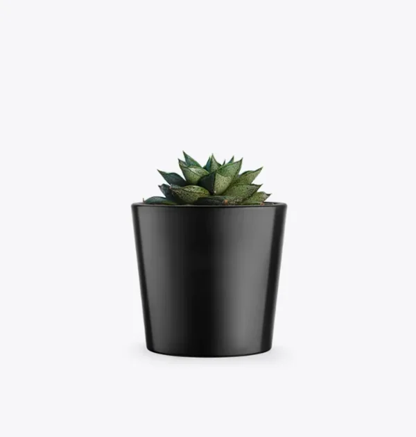 product-image-3_optimized Suculenta Decorativa em Vaso Preto Minimalista