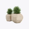 Kit com 2 Plantas Decorativas em Vaso de Madeira Geométrico