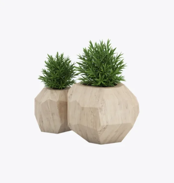 product-image-7_optimized Alecrim Natural em Vaso de Cerâmica