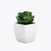 Suculenta Decorativa em Vaso Preto Minimalista
