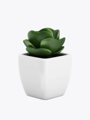 Suculenta Decorativa em Vaso de Cerâmica Branco