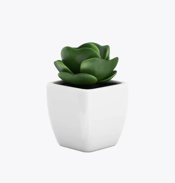 product-image-9_optimized Suculenta Decorativa em Vaso Preto Minimalista